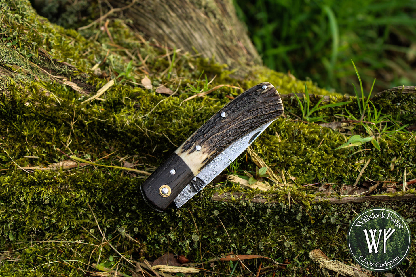 Hand-Forged San Mai Damascus Slipjoint with Bog Oak & Stag Antler Scales / UK Legal Carry