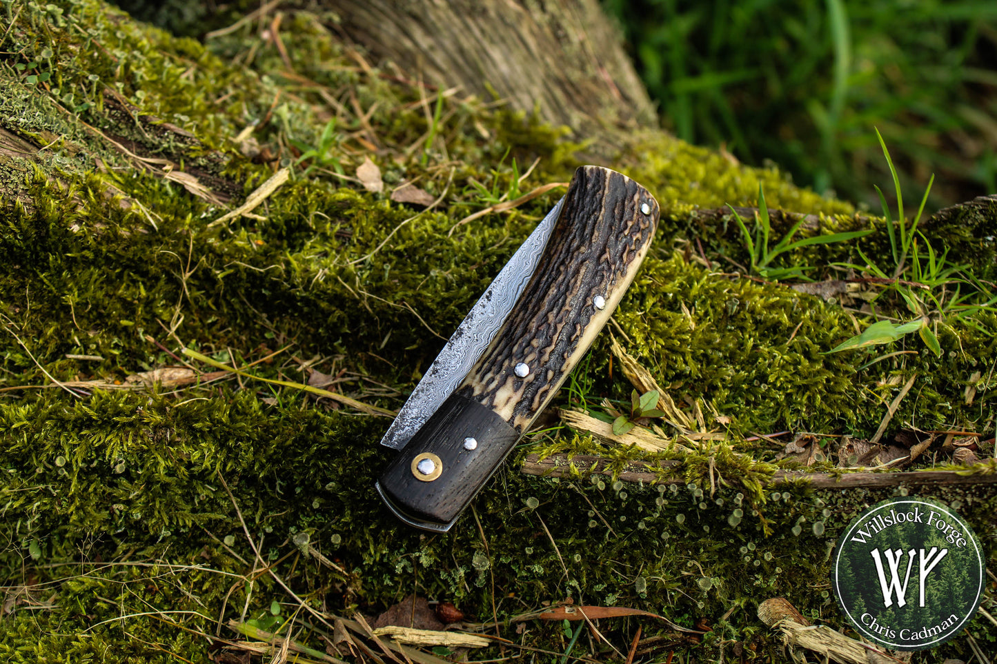 Hand-Forged San Mai Damascus Slipjoint with Bog Oak & Stag Antler Scales / UK Legal Carry