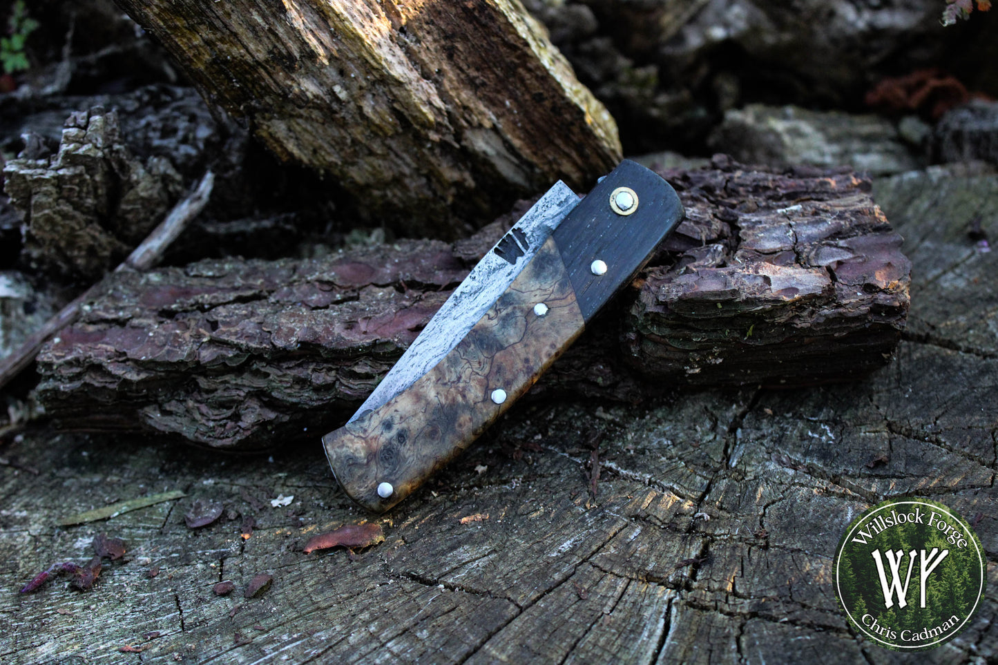 Hand-forged San-Mai slipjoint / 1084 & Antique Wrought Iron Blade with Bog Oak and Spalted Ash Scales