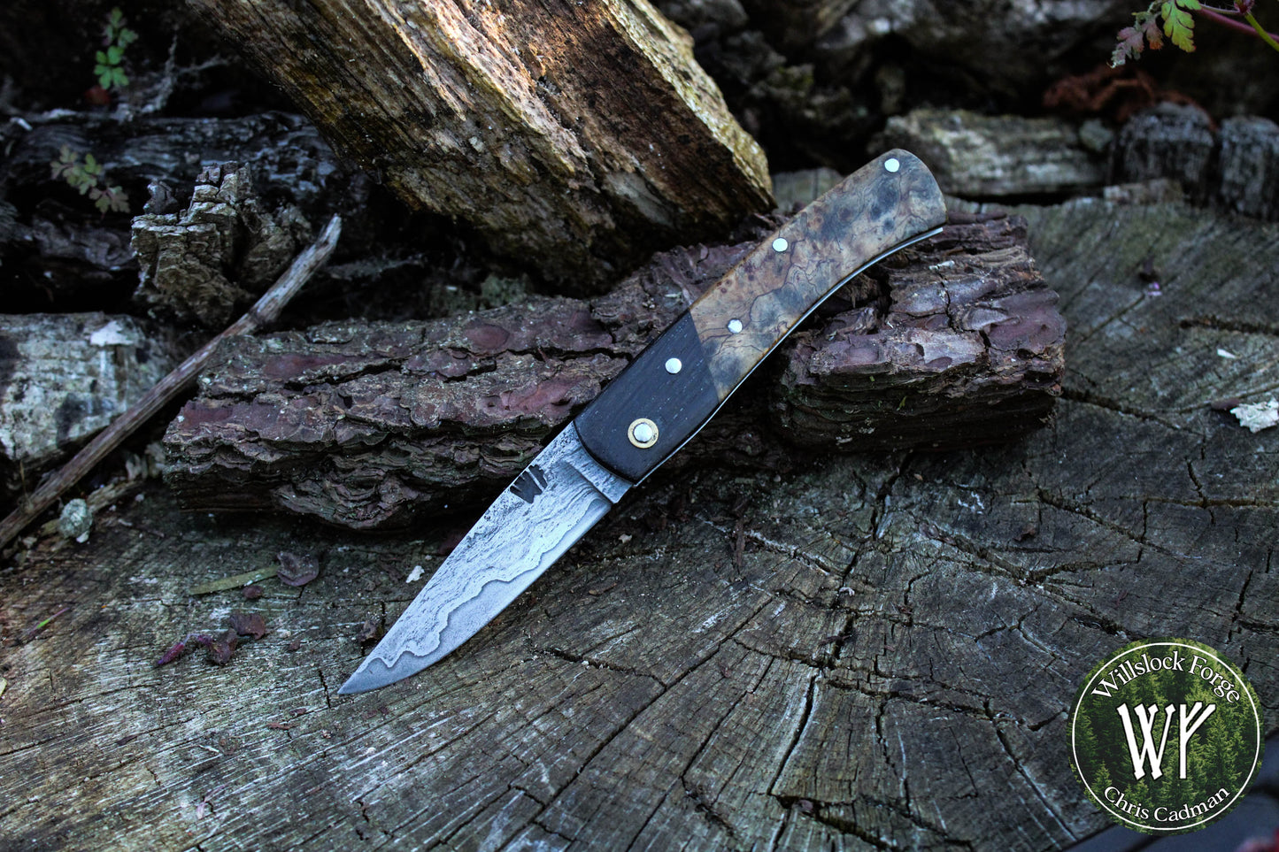 Hand-forged San-Mai slipjoint / 1084 & Antique Wrought Iron Blade with Bog Oak and Spalted Ash Scales