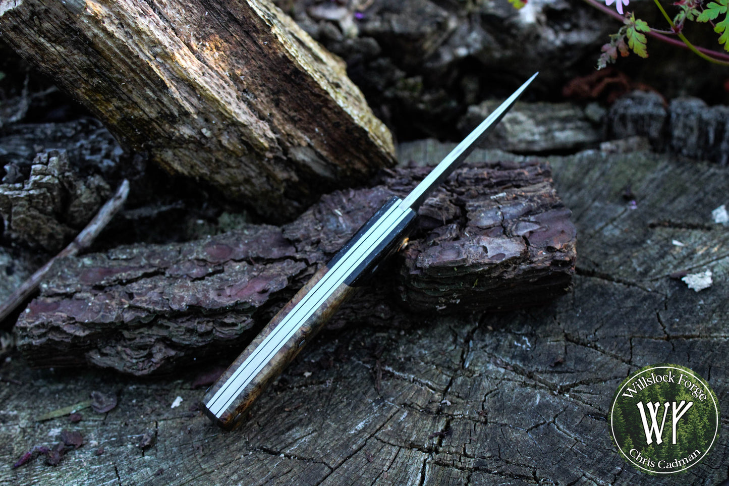 Hand-forged San-Mai slipjoint / 1084 & Antique Wrought Iron Blade with Bog Oak and Spalted Ash Scales