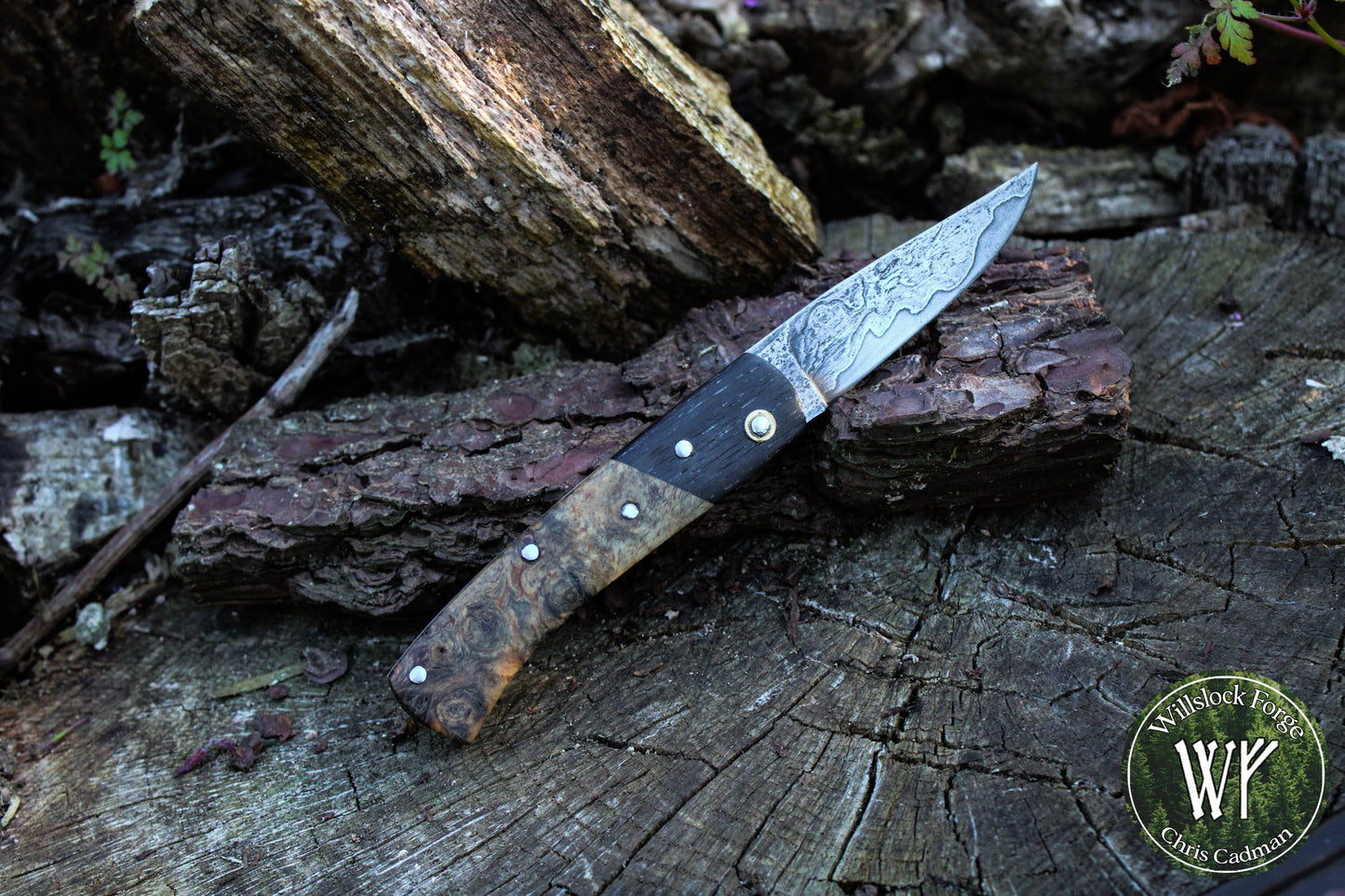 Hand-forged San-Mai slipjoint / 1084 & Antique Wrought Iron Blade with Bog Oak and Spalted Ash Scales