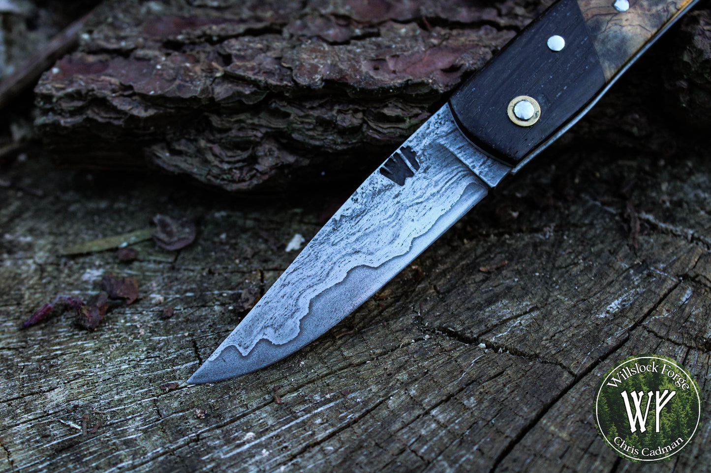 Hand-forged San-Mai slipjoint / 1084 & Antique Wrought Iron Blade with Bog Oak and Spalted Ash Scales