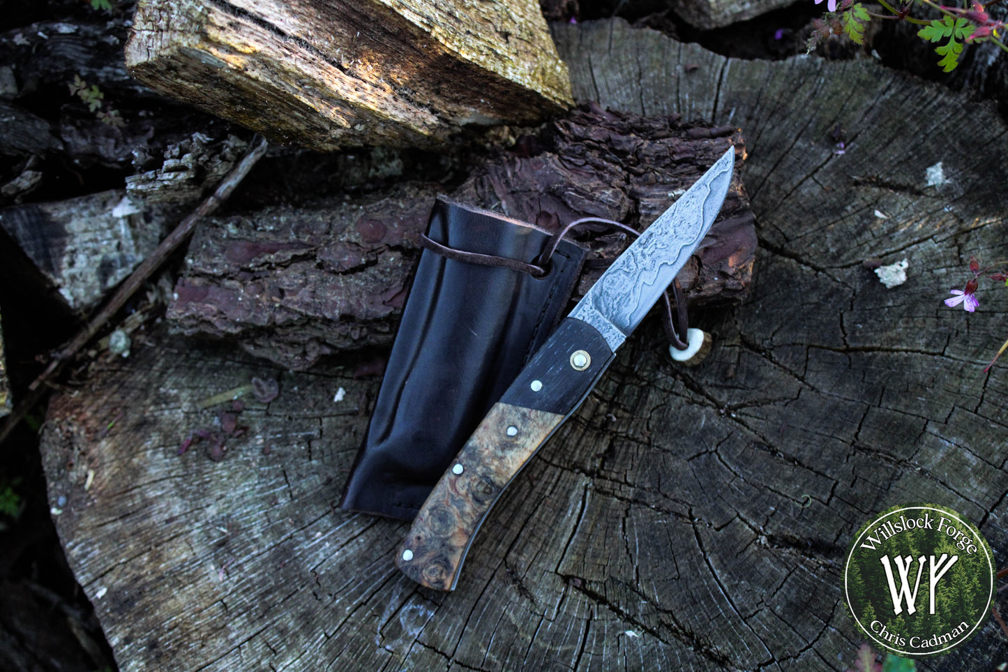 Hand-forged San-Mai slipjoint / 1084 & Antique Wrought Iron Blade with Bog Oak and Spalted Ash Scales