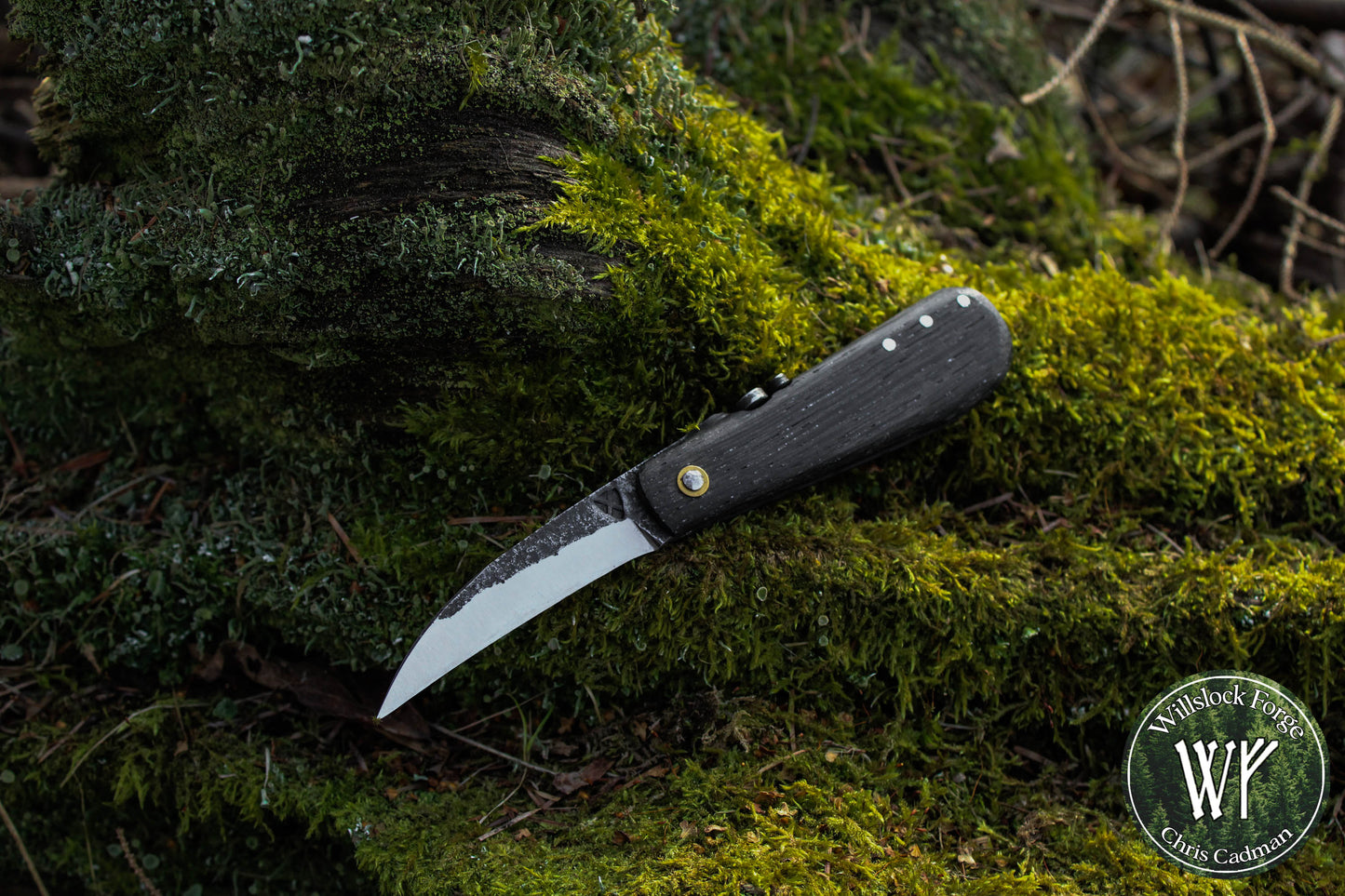 Hand-forged Folding Mushroom Knife. 1084 Carbon Steel Blade with Bog Oak and Bloodwood handle.