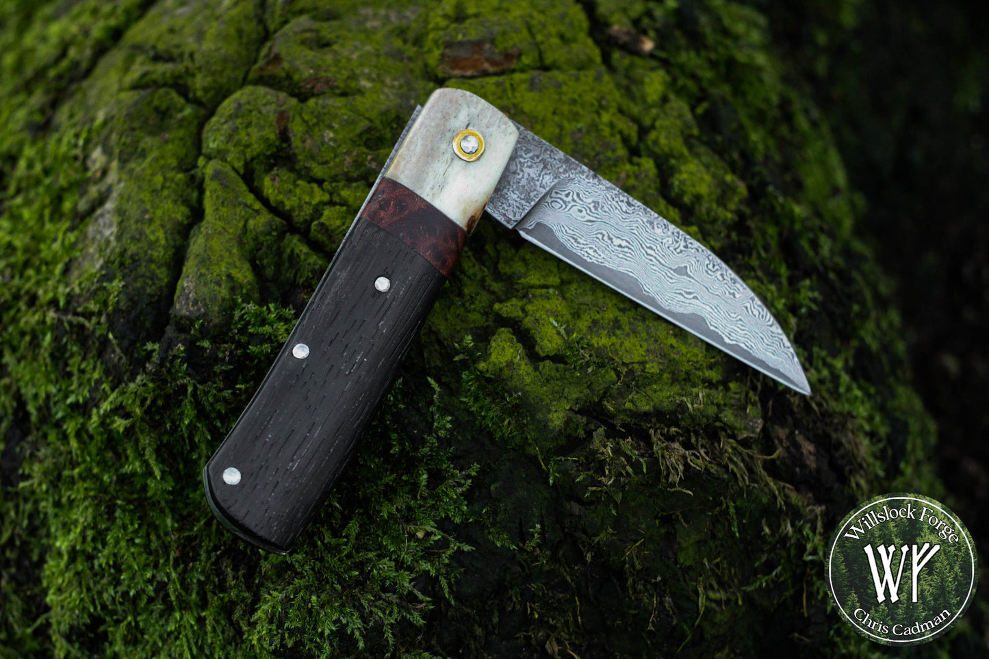 Wharncliffe Damascus Slipjoint / Hand-forged folding knife / Stag, Elm Burl & Bog Oak Handle / Non-locking UK Legal Carry
