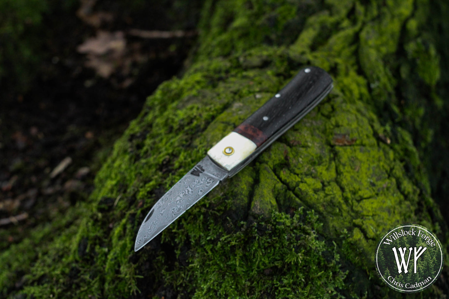 Wharncliffe Damascus Slipjoint / Hand-forged folding knife / Stag, Elm Burl & Bog Oak Handle / Non-locking UK Legal Carry