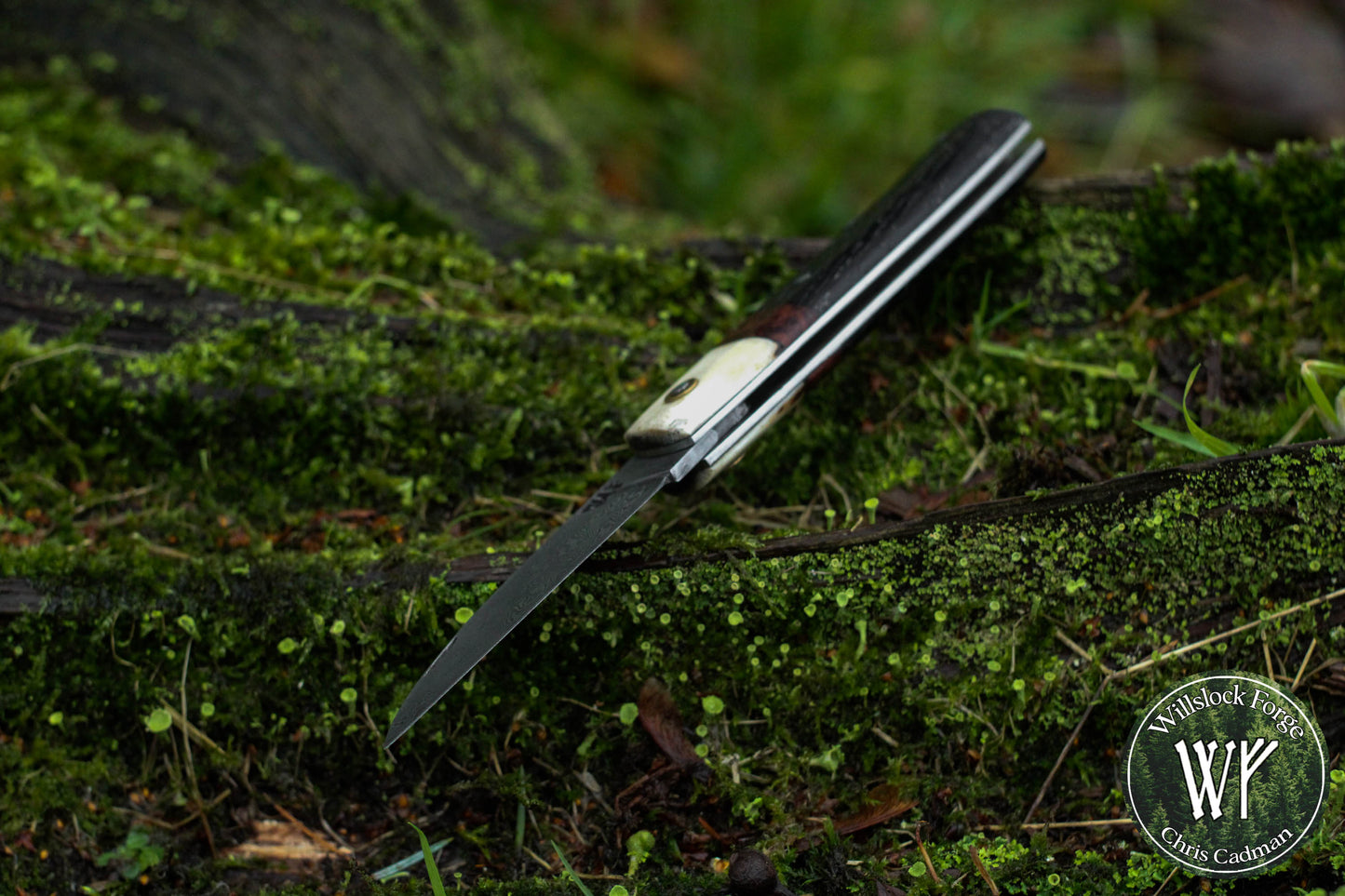 Wharncliffe Damascus Slipjoint / Hand-forged folding knife / Stag, Elm Burl & Bog Oak Handle / Non-locking UK Legal Carry