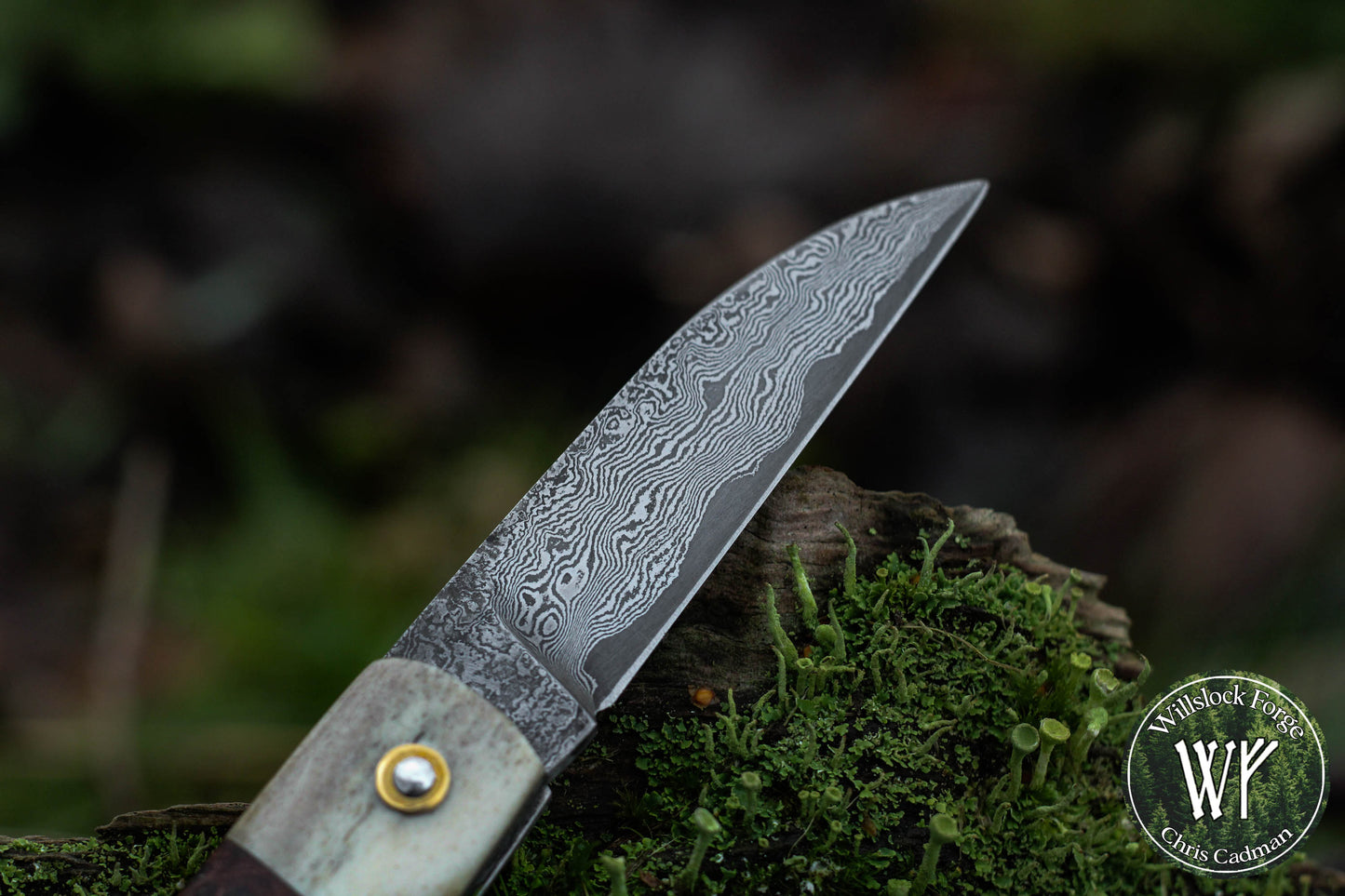 Wharncliffe Damascus Slipjoint / Hand-forged folding knife / Stag, Elm Burl & Bog Oak Handle / Non-locking UK Legal Carry