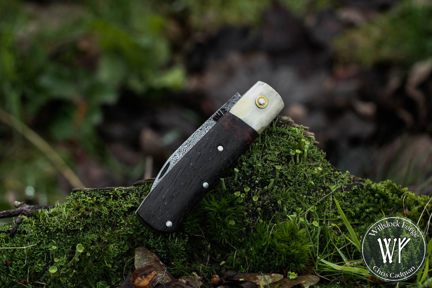 Wharncliffe Damascus Slipjoint / Hand-forged folding knife / Stag, Elm Burl & Bog Oak Handle / Non-locking UK Legal Carry
