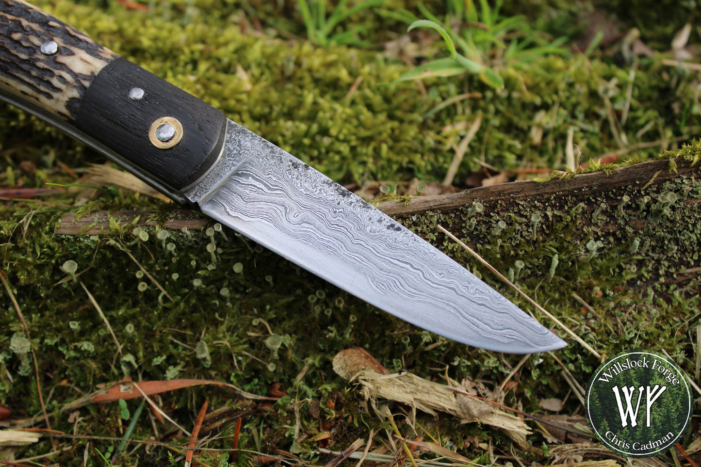 Hand-Forged San Mai Damascus Slipjoint with Bog Oak & Stag Antler Scales / UK Legal Carry