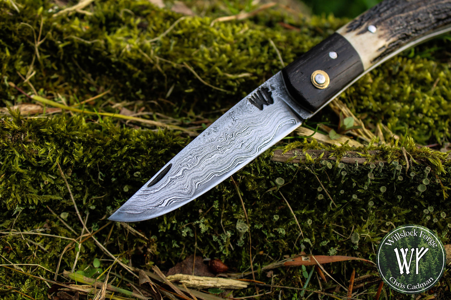 Hand-Forged San Mai Damascus Slipjoint with Bog Oak & Stag Antler Scales / UK Legal Carry
