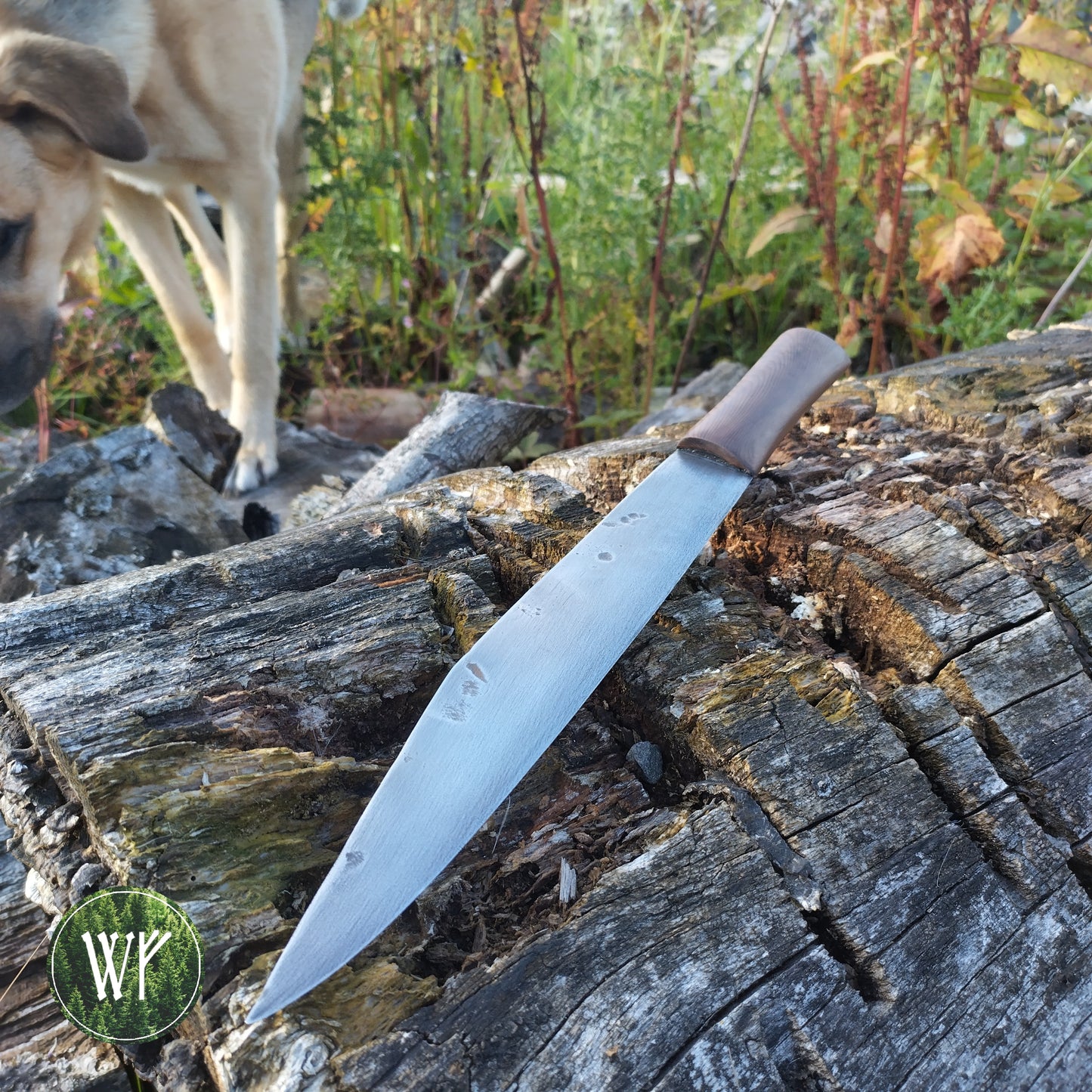 [RESERVED FOR DEVYN] Anglo-Saxon Broken Back Seax Reproduction with Bog Yew Handle