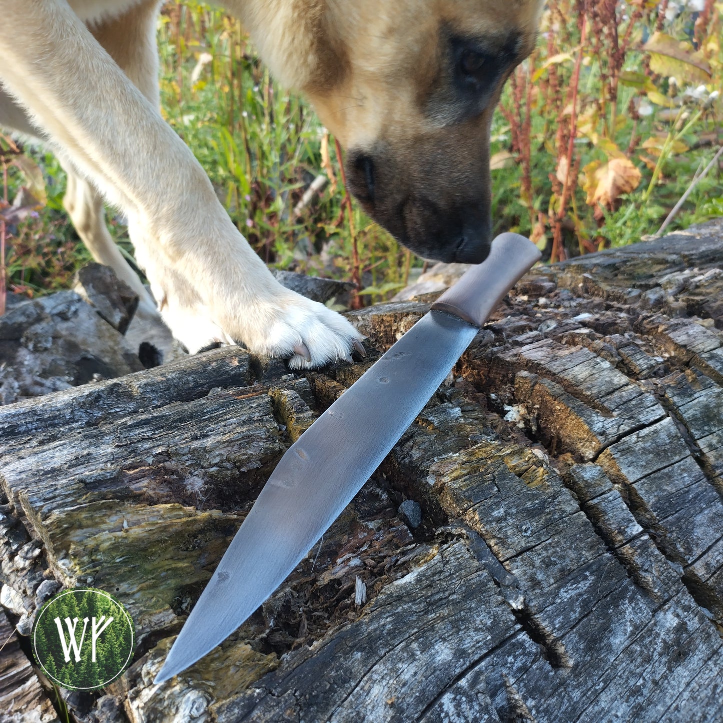 [RESERVED FOR DEVYN] Anglo-Saxon Broken Back Seax Reproduction with Bog Yew Handle