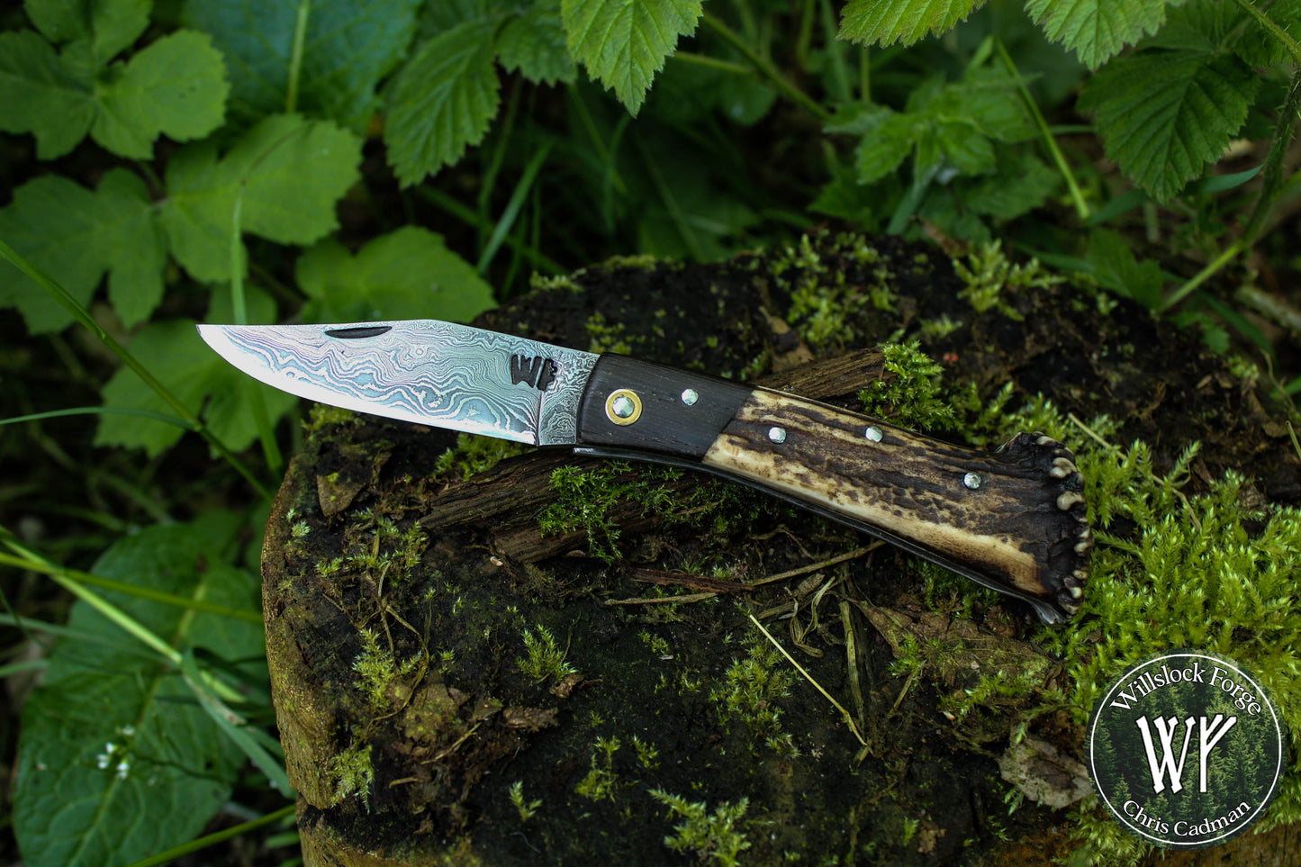 Hand-forged Damascus San Mai Slipjoint / UK Legal Folding Knife / Ancient Bog Oak & Stag Crown / Traditional Pocket Knife / UK Legal
