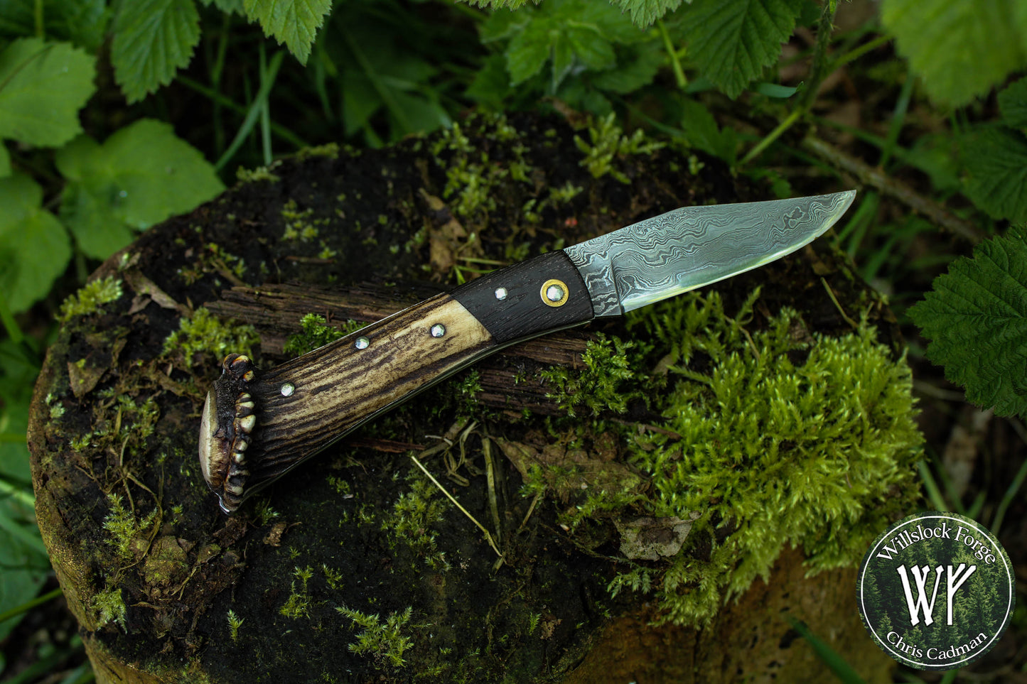 Hand-forged Damascus San Mai Slipjoint / UK Legal Folding Knife / Ancient Bog Oak & Stag Crown / Traditional Pocket Knife / UK Legal