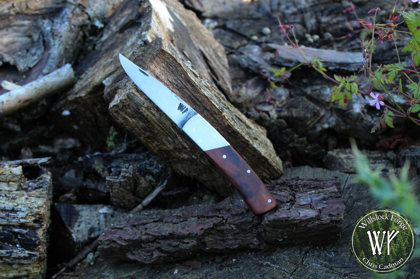 Hand-forged Folding Knife / Heavy Duty Slipjoint / 1084 Carbon Steel & English Yew Burl / UK Legal Pocket Knife