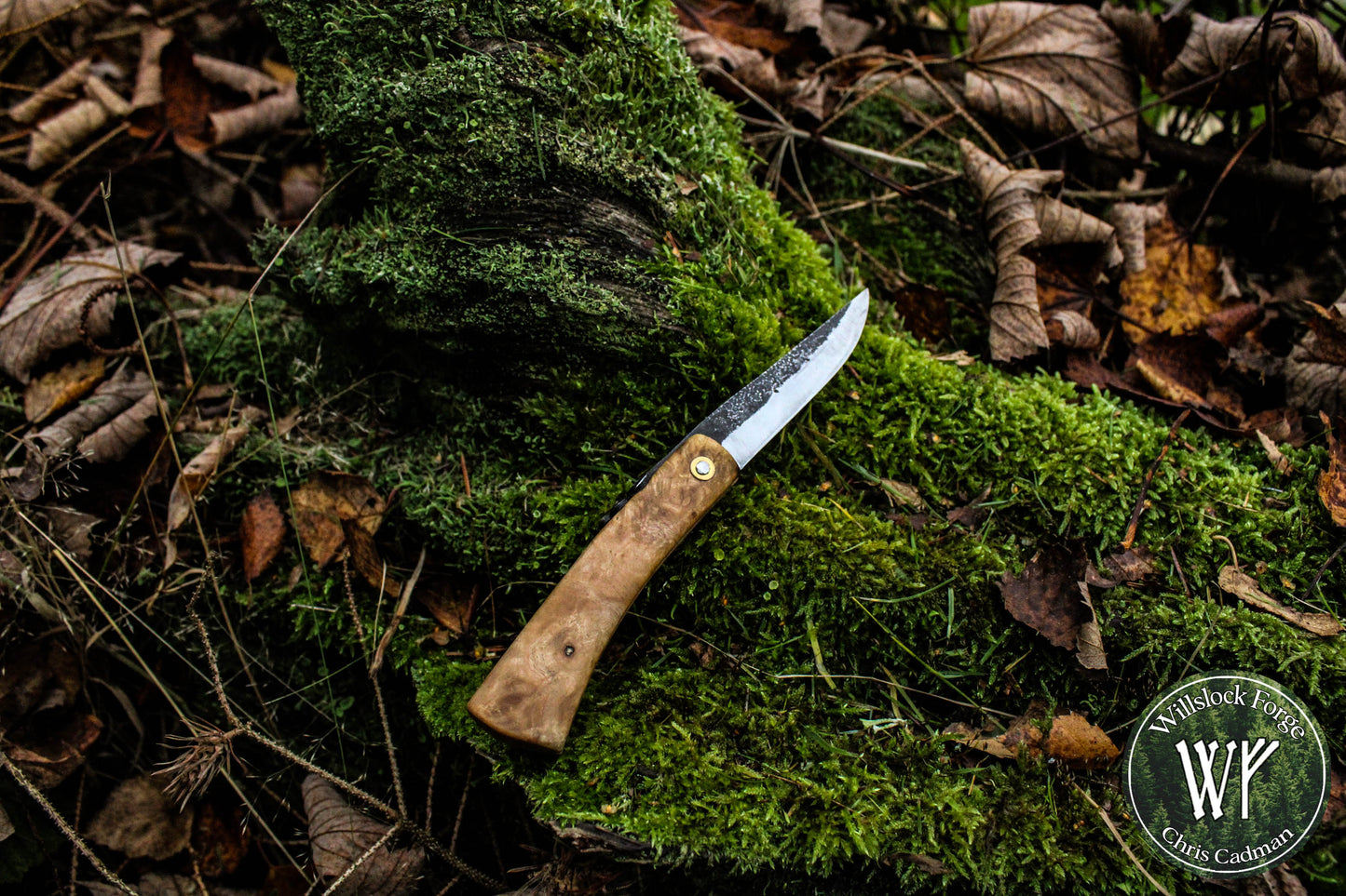 Hand-forged Viking style friction folder / Scandi grind Carbon Steel Blade / Ash Burl Handle
