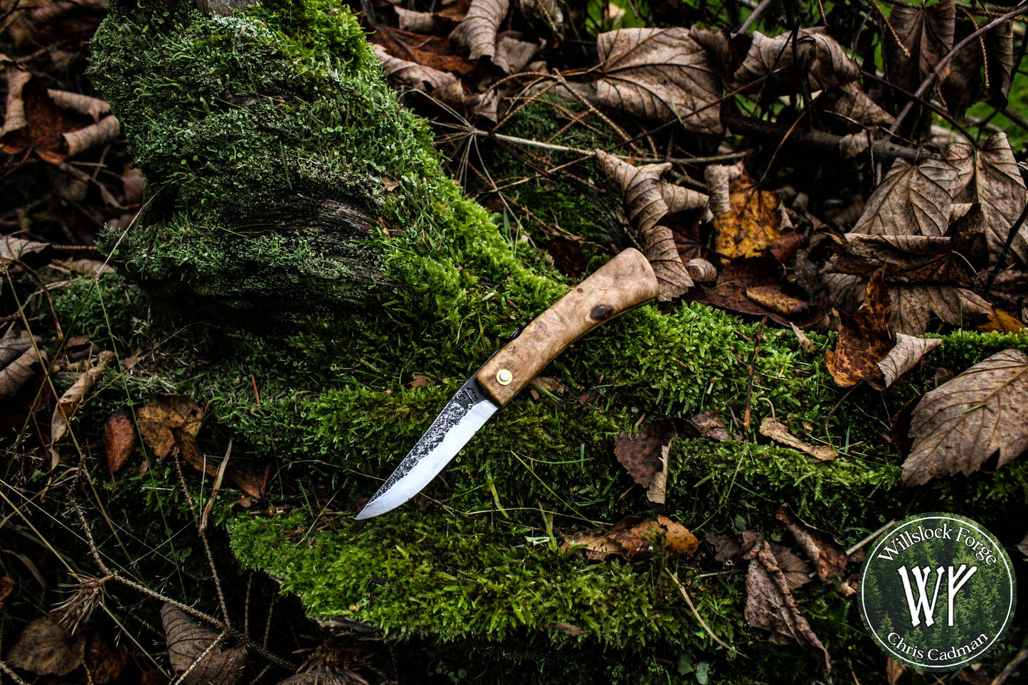 Hand-forged Viking style friction folder / Scandi grind Carbon Steel Blade / Ash Burl Handle