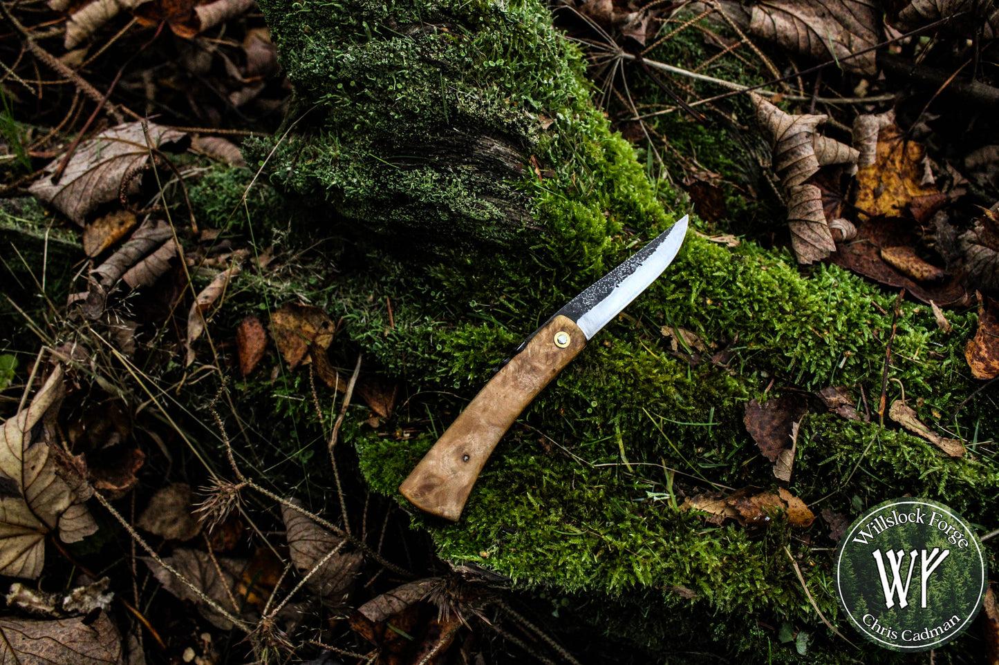 Hand-forged Viking style friction folder / Scandi grind Carbon Steel Blade / Ash Burl Handle