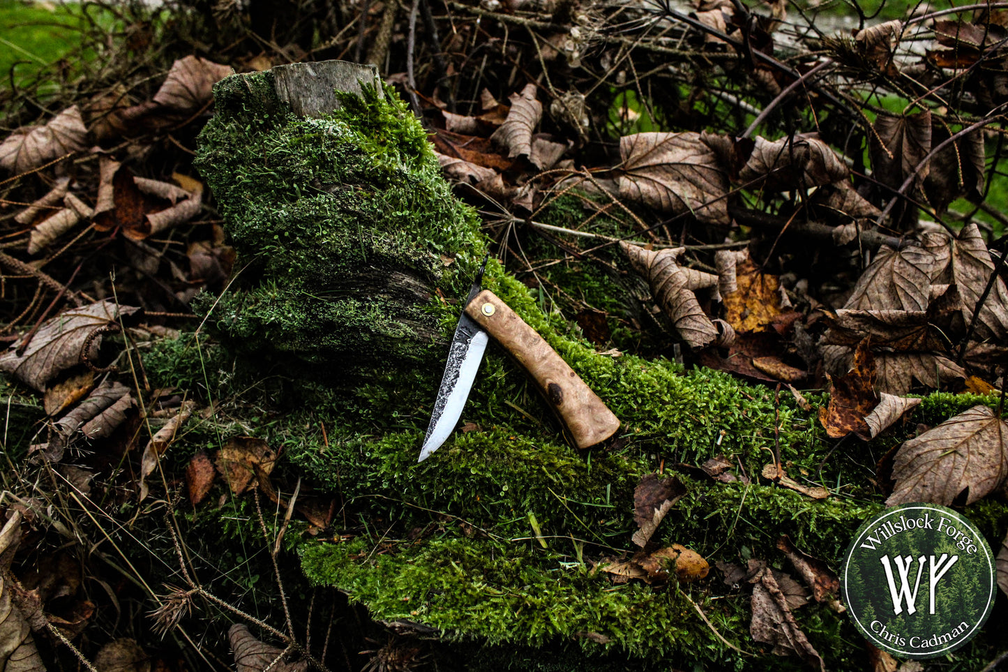Hand-forged Viking style friction folder / Scandi grind Carbon Steel Blade / Ash Burl Handle