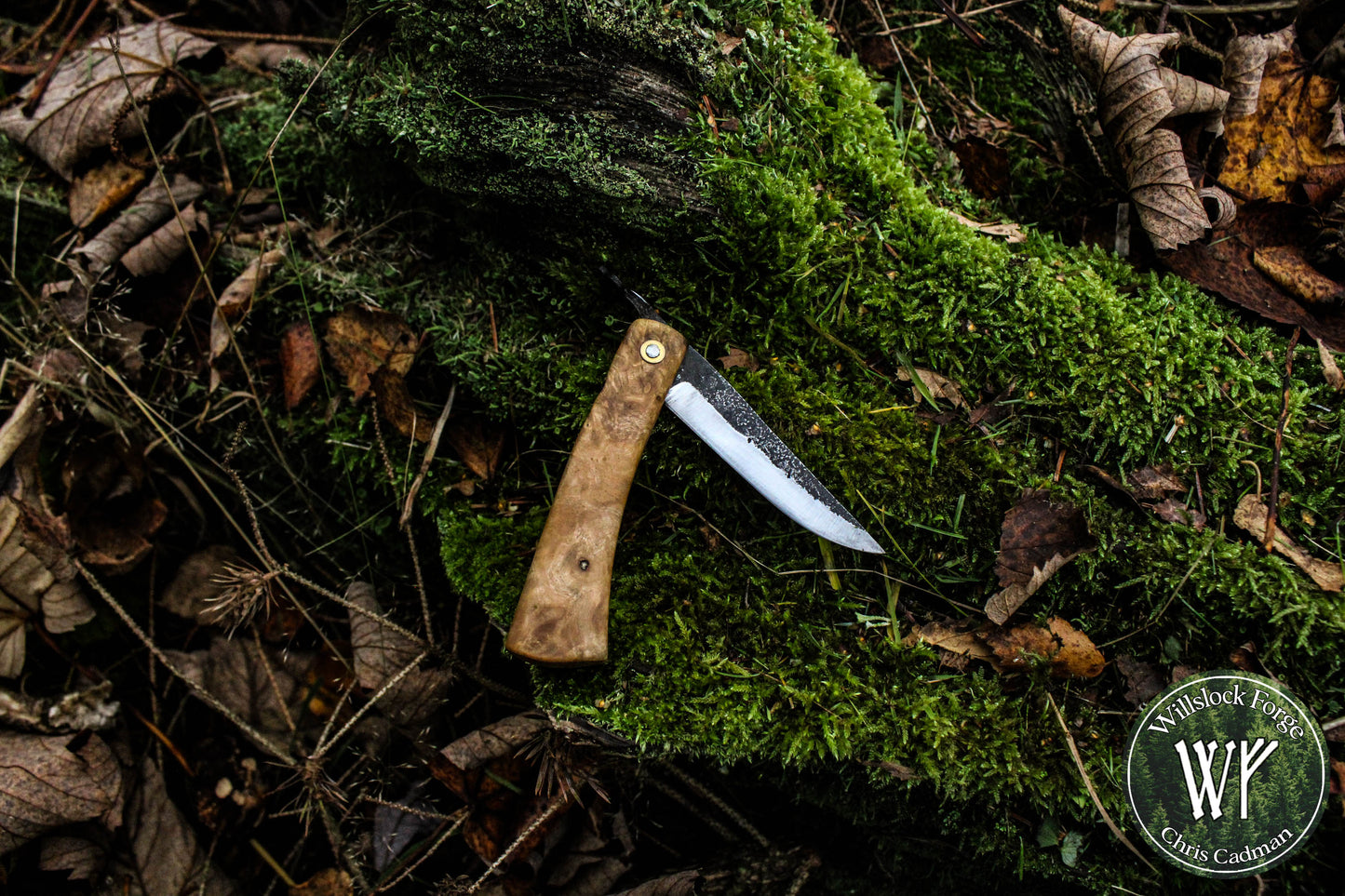Hand-forged Viking style friction folder / Scandi grind Carbon Steel Blade / Ash Burl Handle