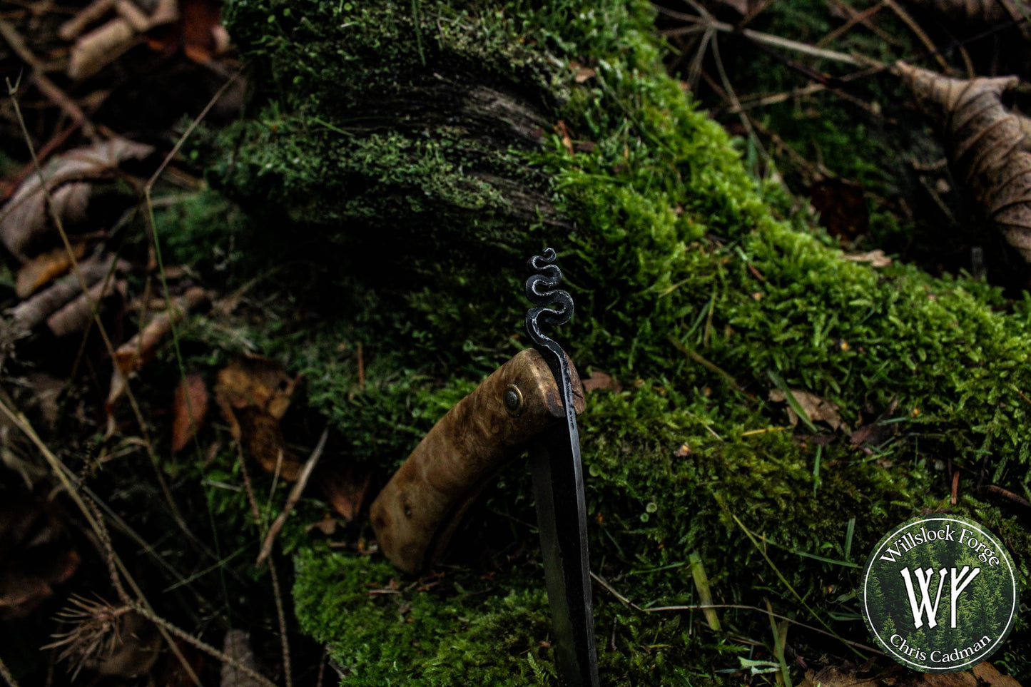 Hand-forged Viking style friction folder / Scandi grind Carbon Steel Blade / Ash Burl Handle