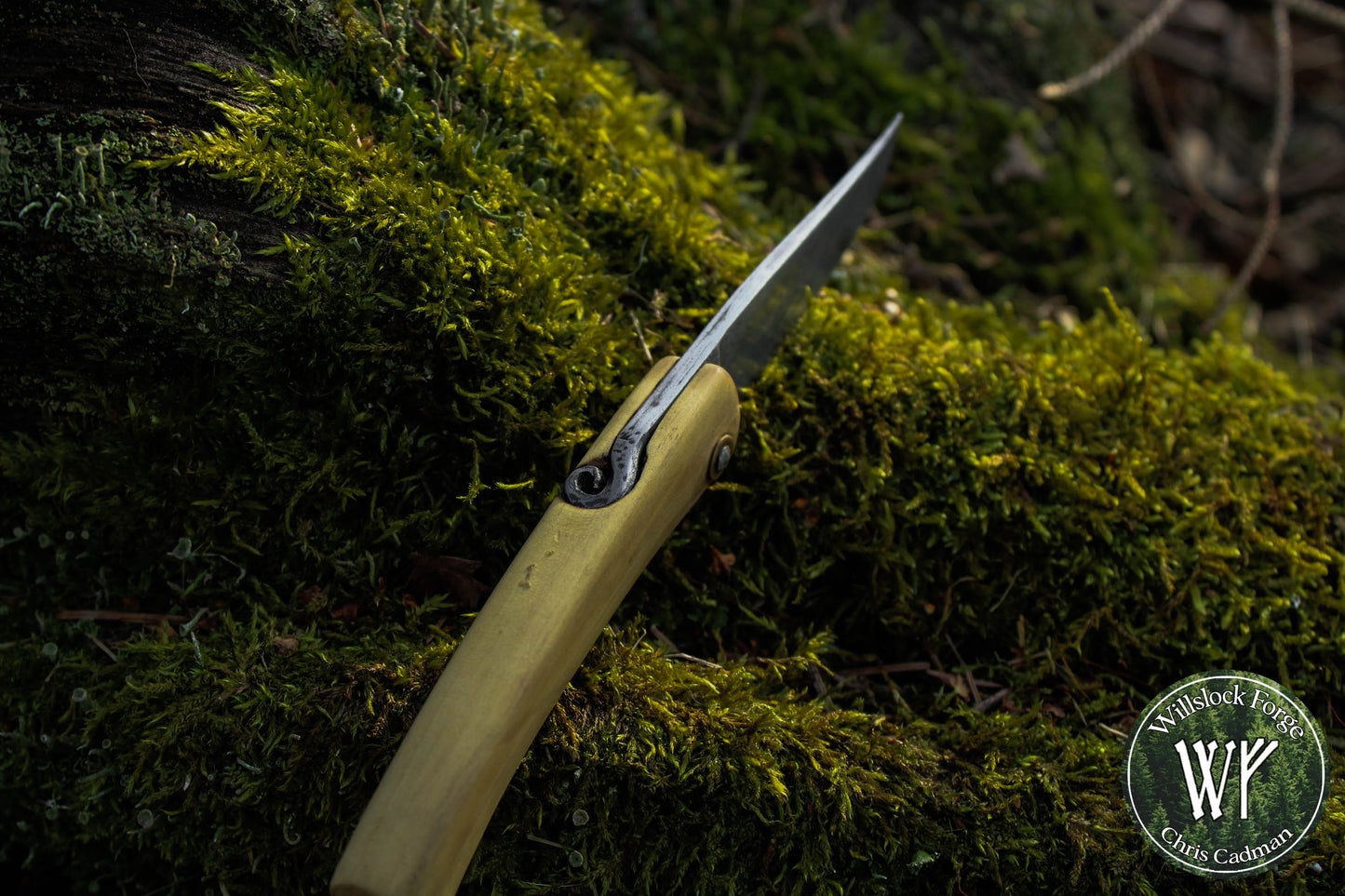 Hand-forged folding knife / Wrought Iron San Mai Viking Friction Folder / Boxwood handle / UK Legal