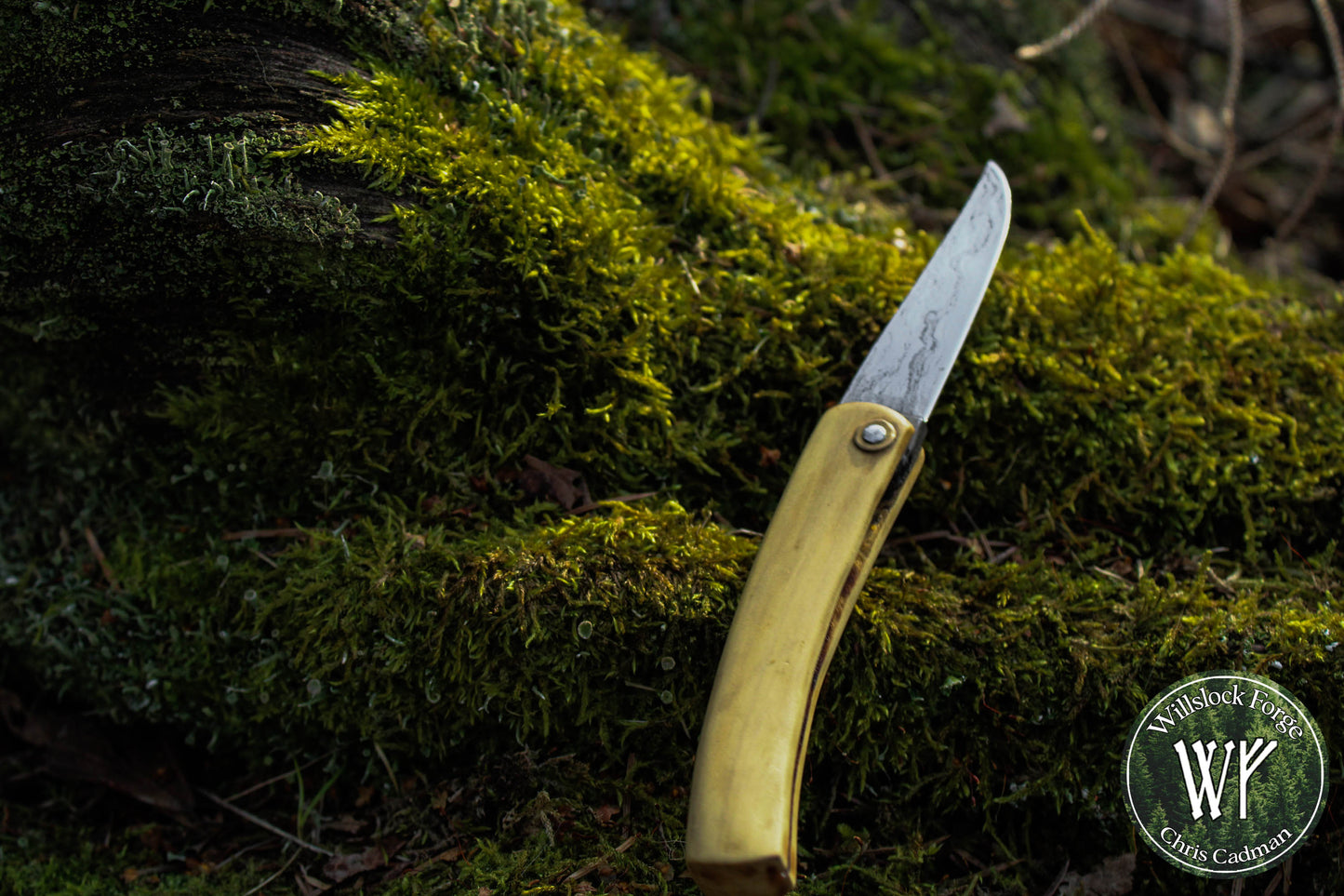 Hand-forged folding knife / Wrought Iron San Mai Viking Friction Folder / Boxwood handle / UK Legal