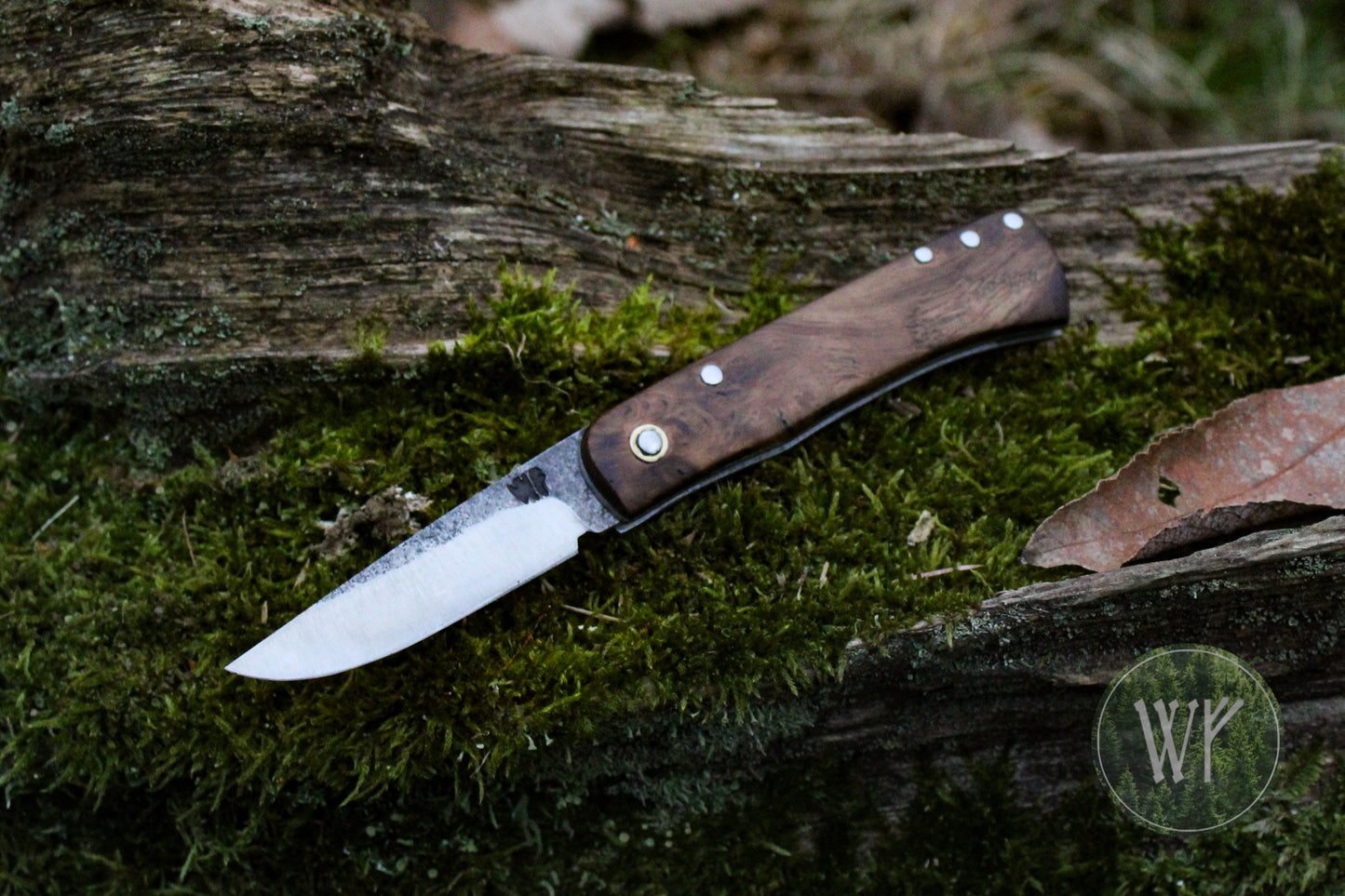 Hand-forged dual-detente folder with 1095 Carbon Steel blade, Titanium Liners and Scottish Oak Burr Handle / Non-locking UK Legal Carry