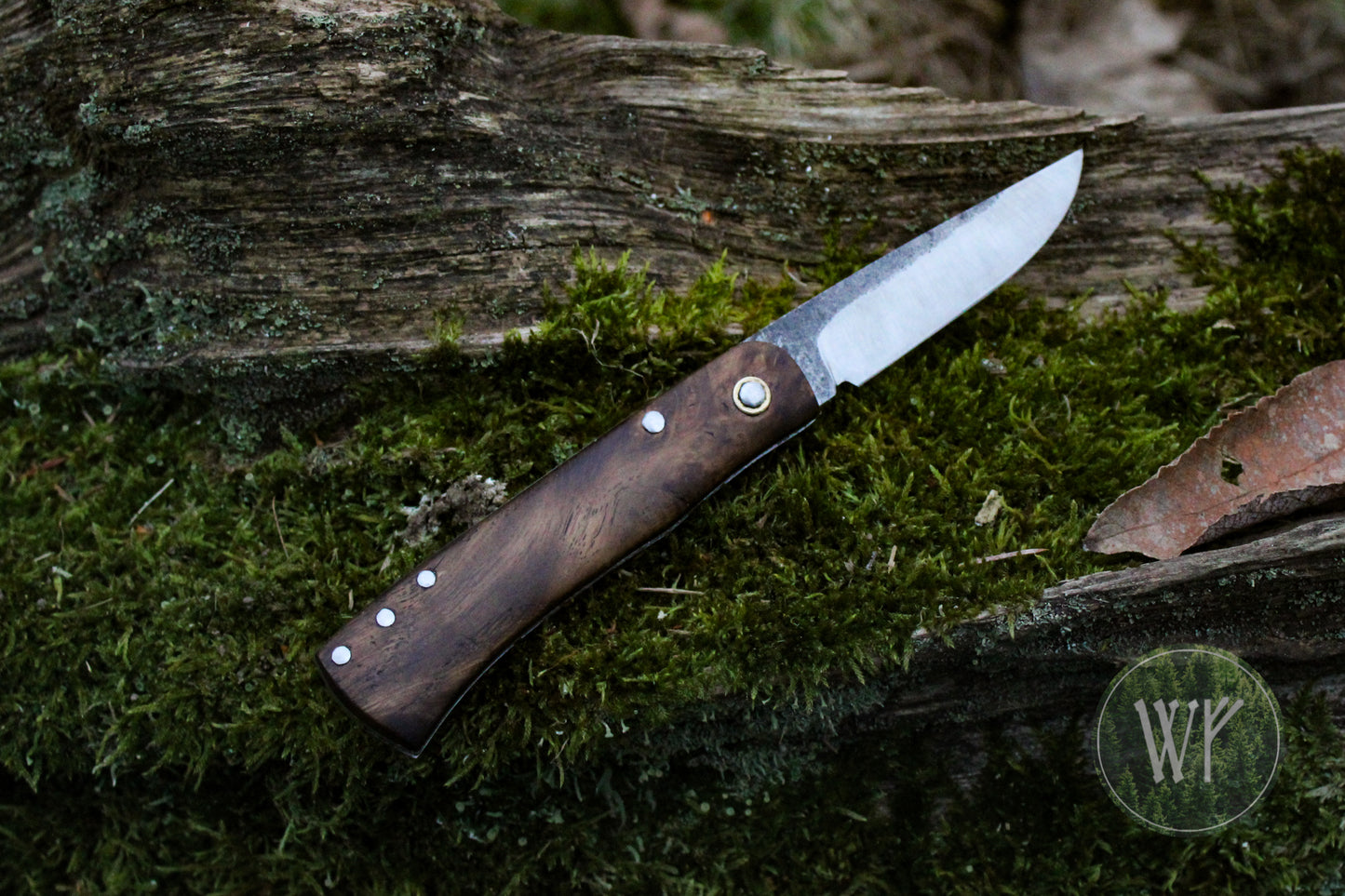 Hand-forged dual-detente folder with 1095 Carbon Steel blade, Titanium Liners and Scottish Oak Burr Handle / Non-locking UK Legal Carry