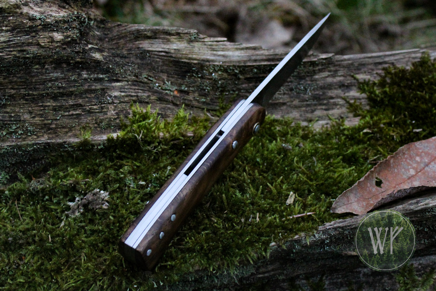 Hand-forged dual-detente folder with 1095 Carbon Steel blade, Titanium Liners and Scottish Oak Burr Handle / Non-locking UK Legal Carry